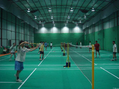 专业羽毛球运动地板